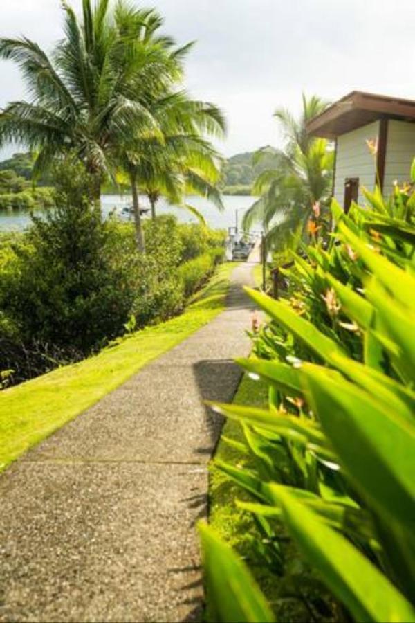 Casa Marlin Bed & Breakfast Bocas del Toro Exterior photo